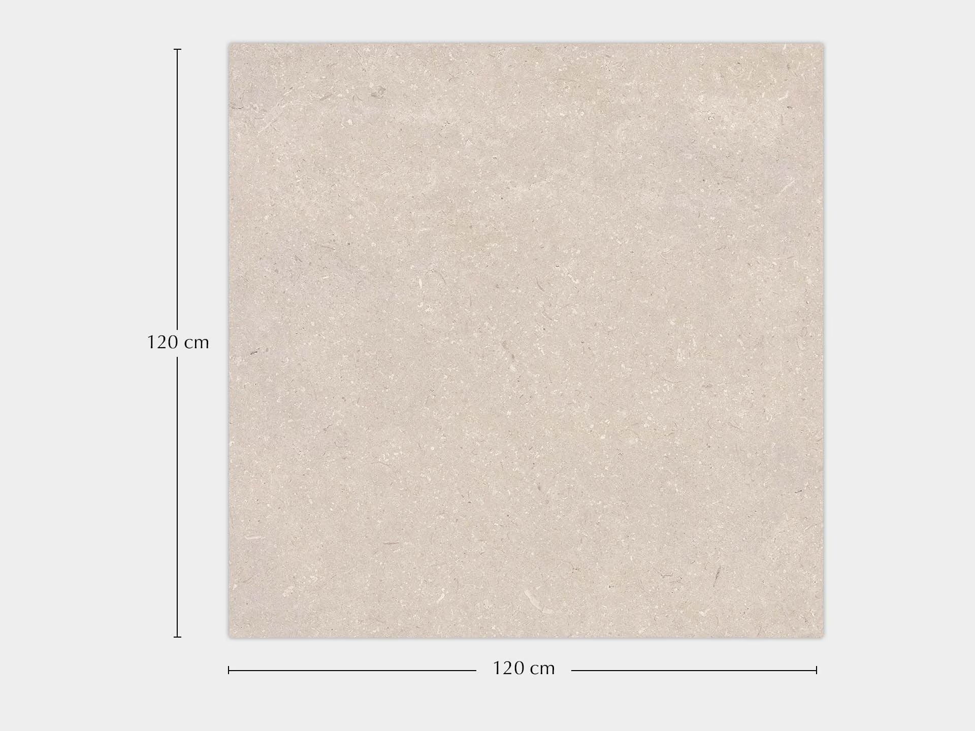 Coral Caliza 120X120 - Porcelanosa image 1