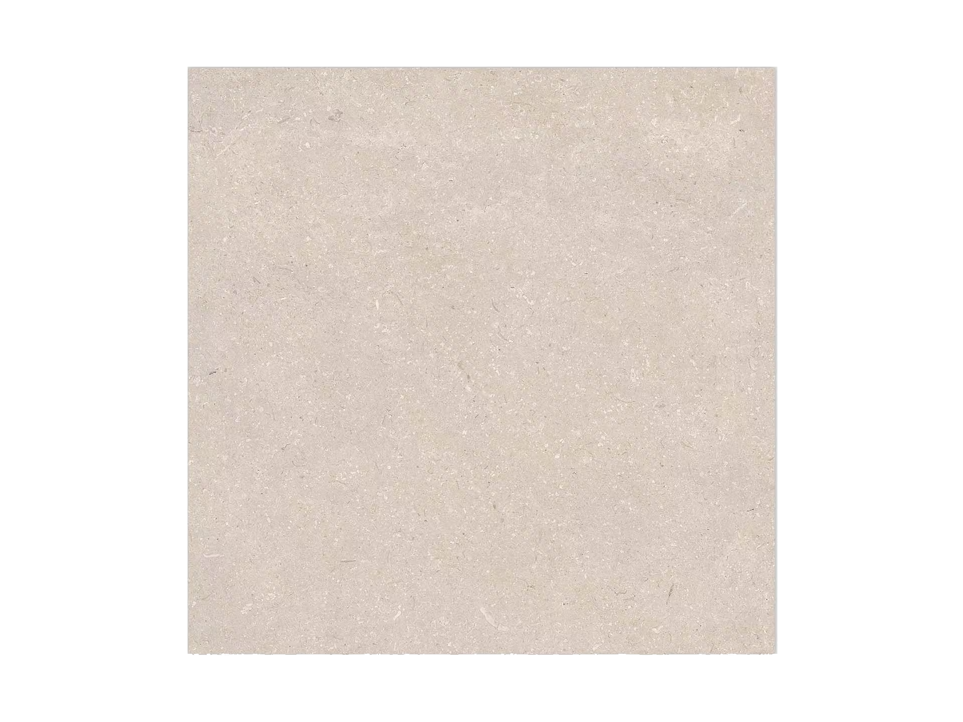 Coral Caliza 120X120 - Porcelanosa image 0