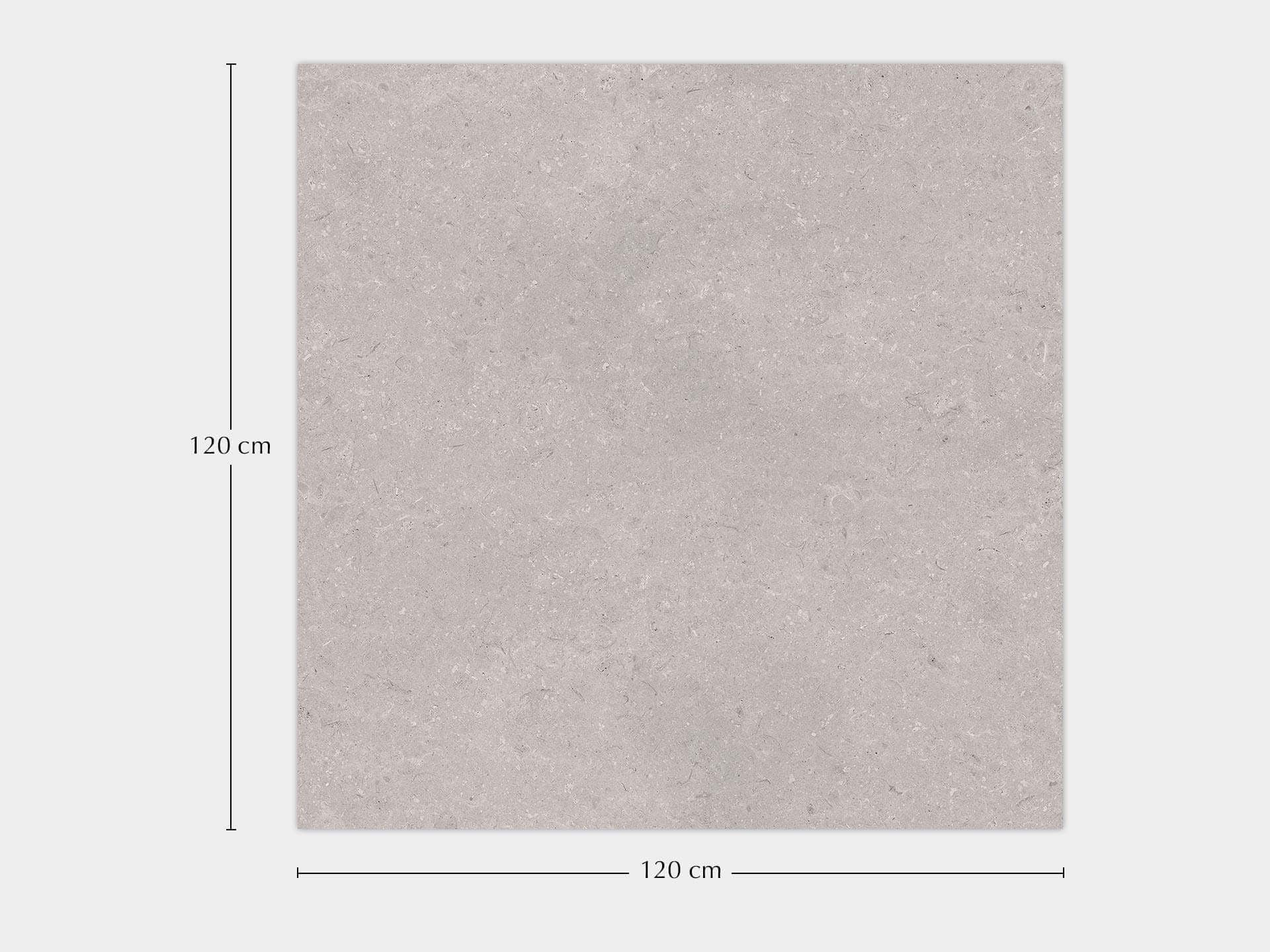 Coral Acero 120X120 - Porcelanosa image 1