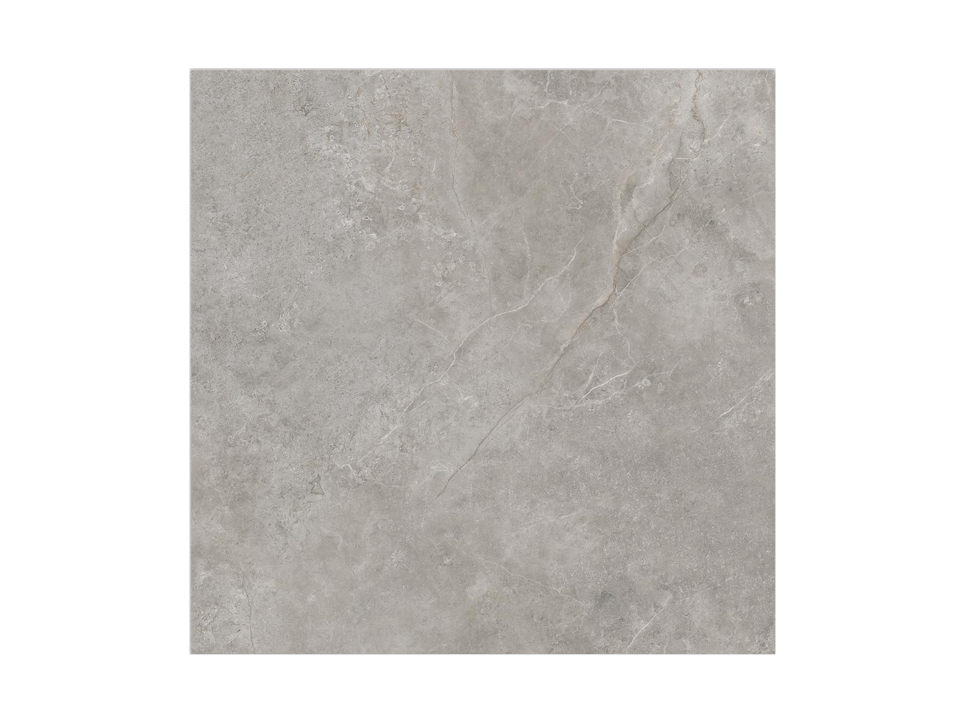 Fiori Di Bosco Polished 120X120 - Porcelanosa image 0