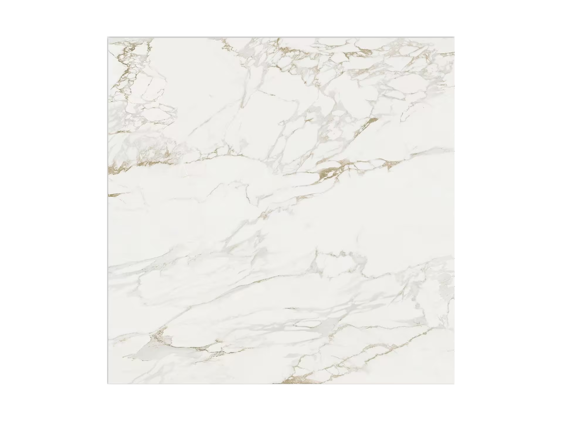 Massa Pulido 120X120 - Porcelanosa image 0