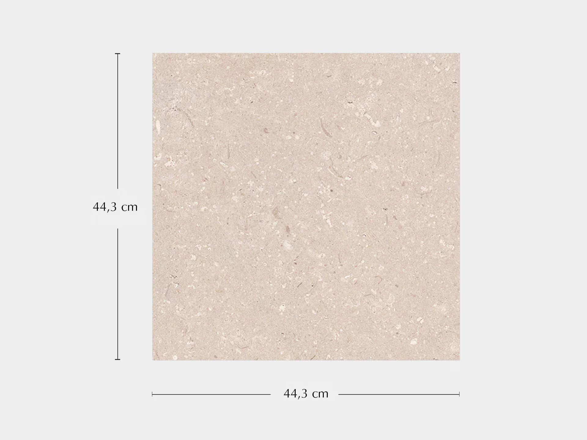 Coral Caliza 44.3X44.3 - Porcelanosa image 1