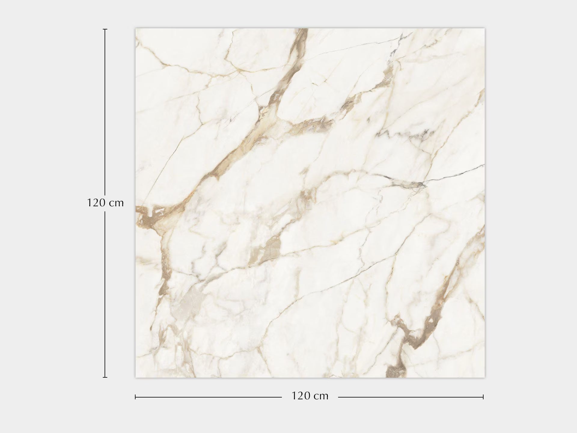 Calacatta Gold Silk 120X120 - Porcelanosa image 1
