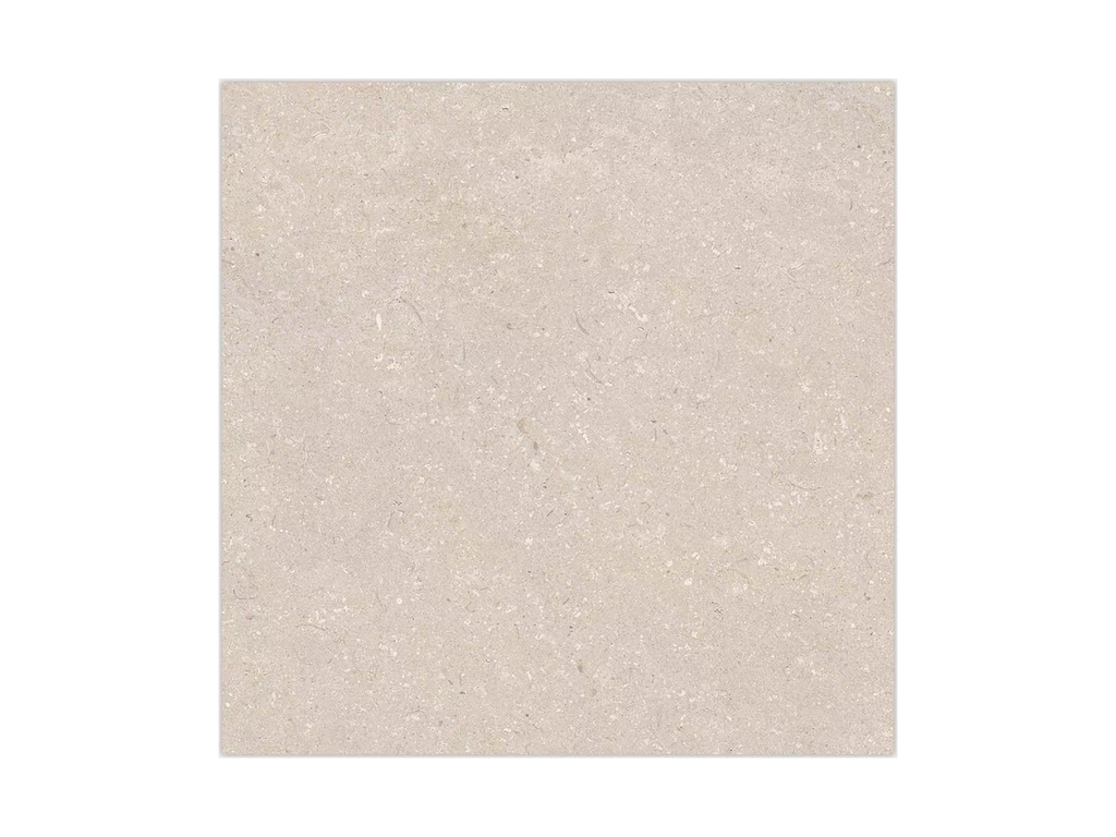 Coral Caliza 80X80 - Porcelanosa image 0