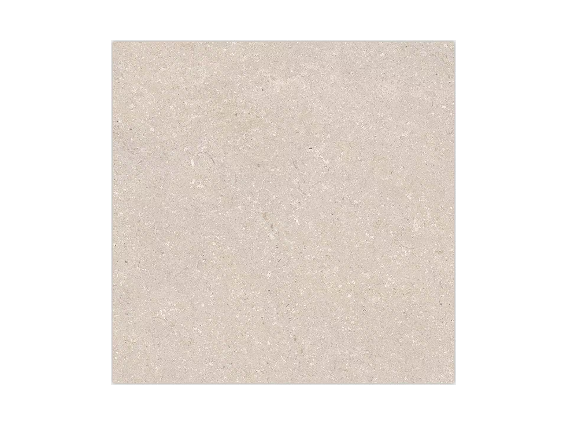 Coral Caliza 80X80 - Porcelanosa image 0