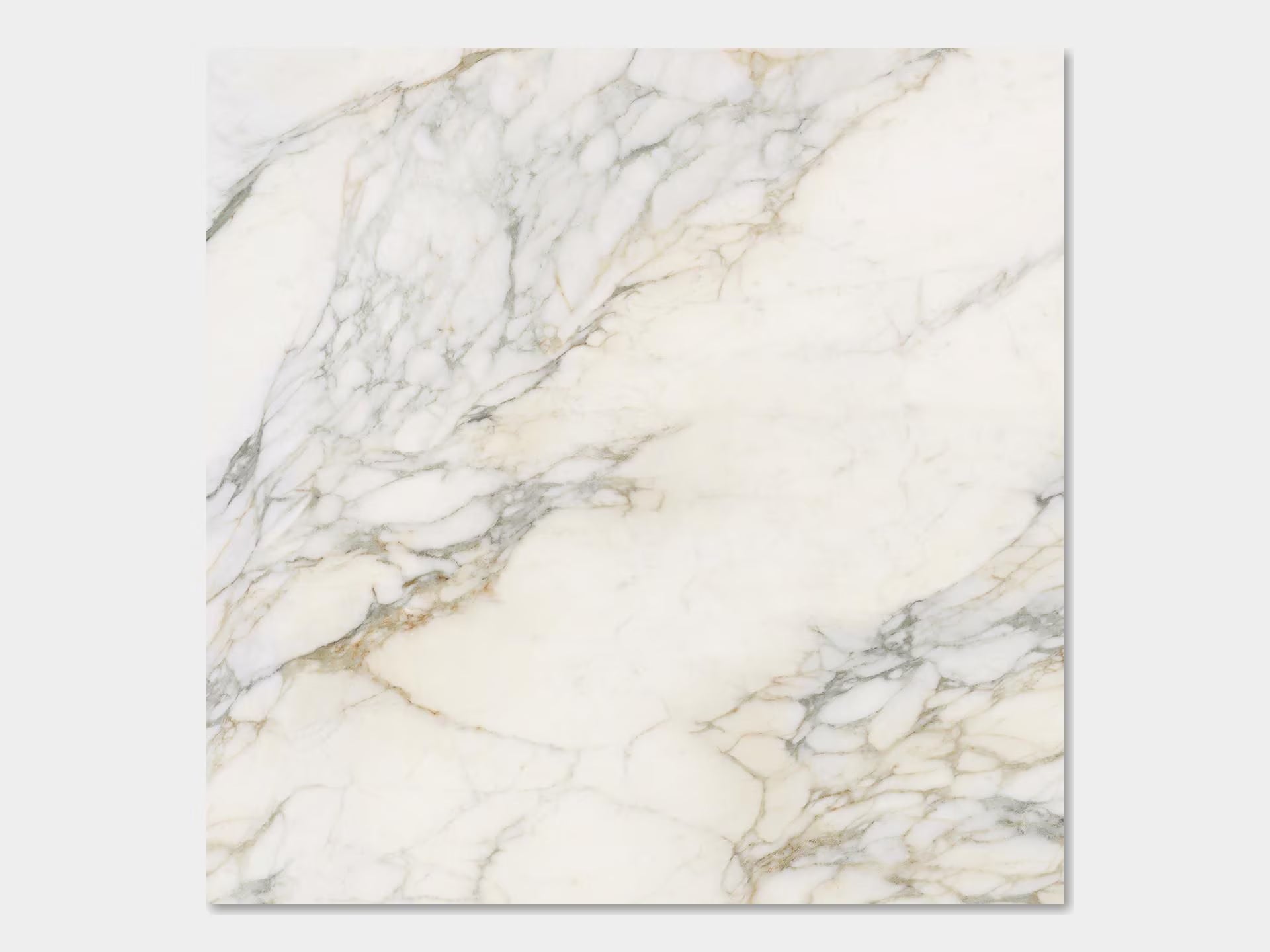 Calacatta Antico Pol. 120X120 - Porcelanosa image 0