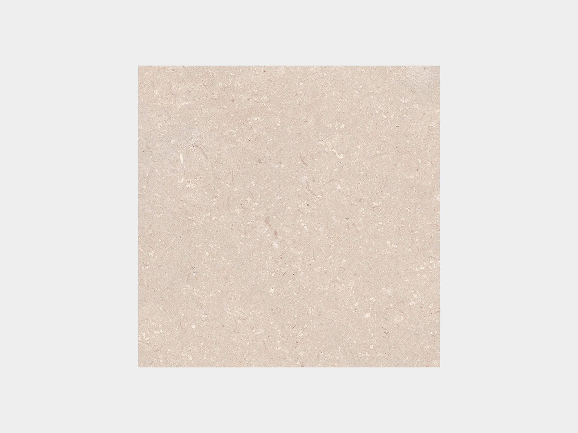 Coral Caliza 59.6X59.6 - Porcelanosa image 0