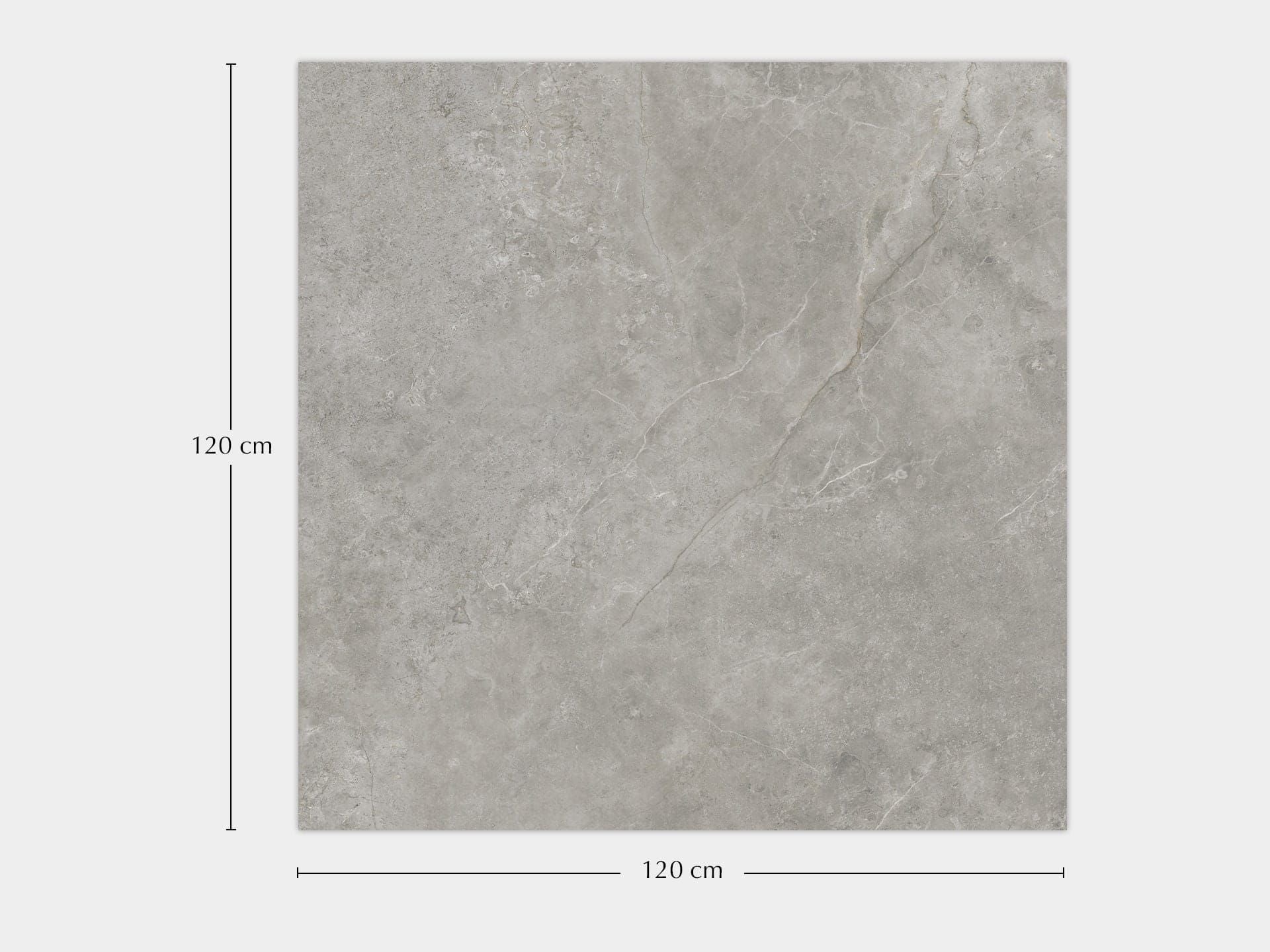 Fiori Di Bosco Nature 120X120 - Porcelanosa image 1