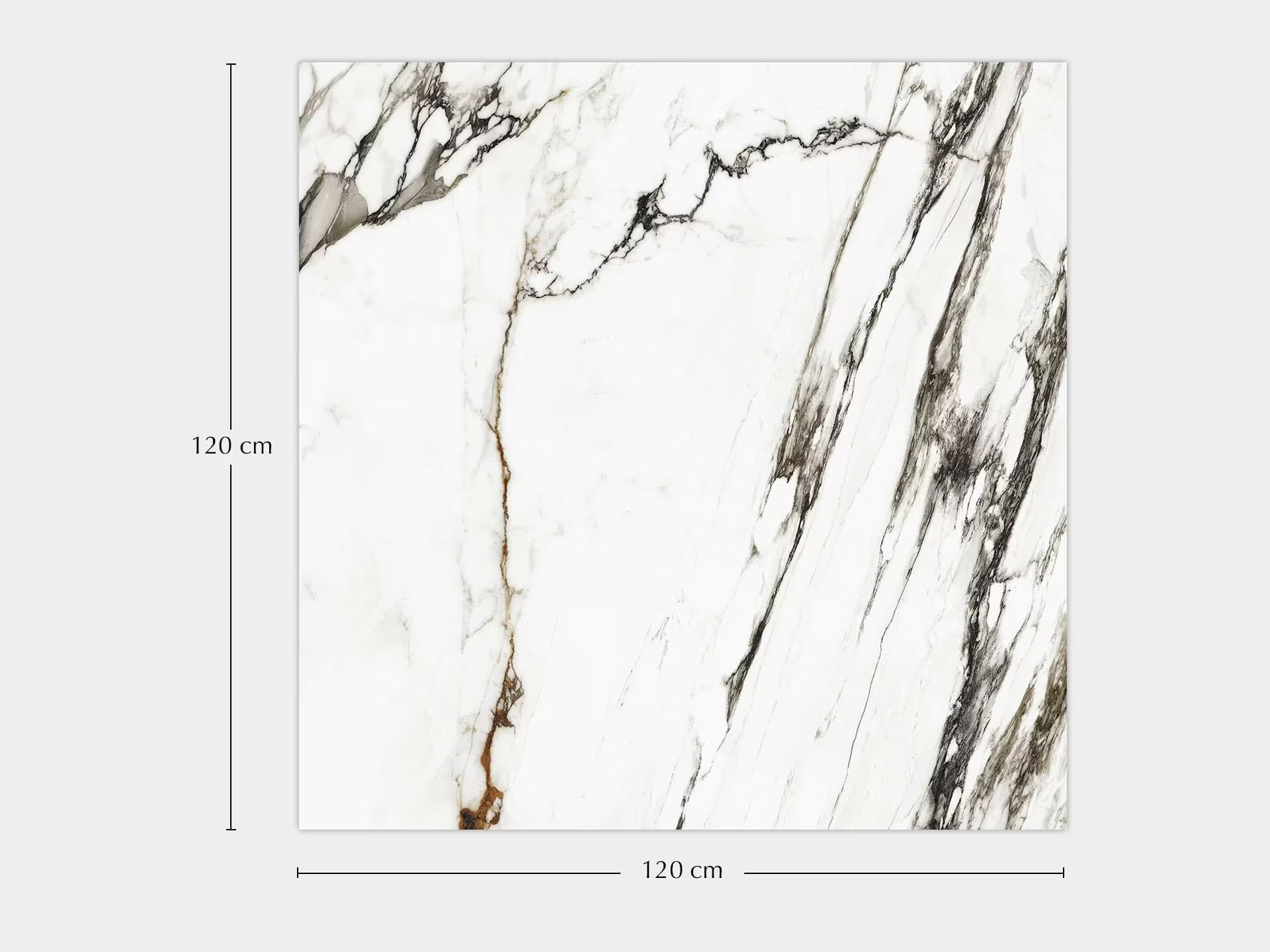 Paonazzo Biondo Silk 120X120 - Porcelanosa image 0