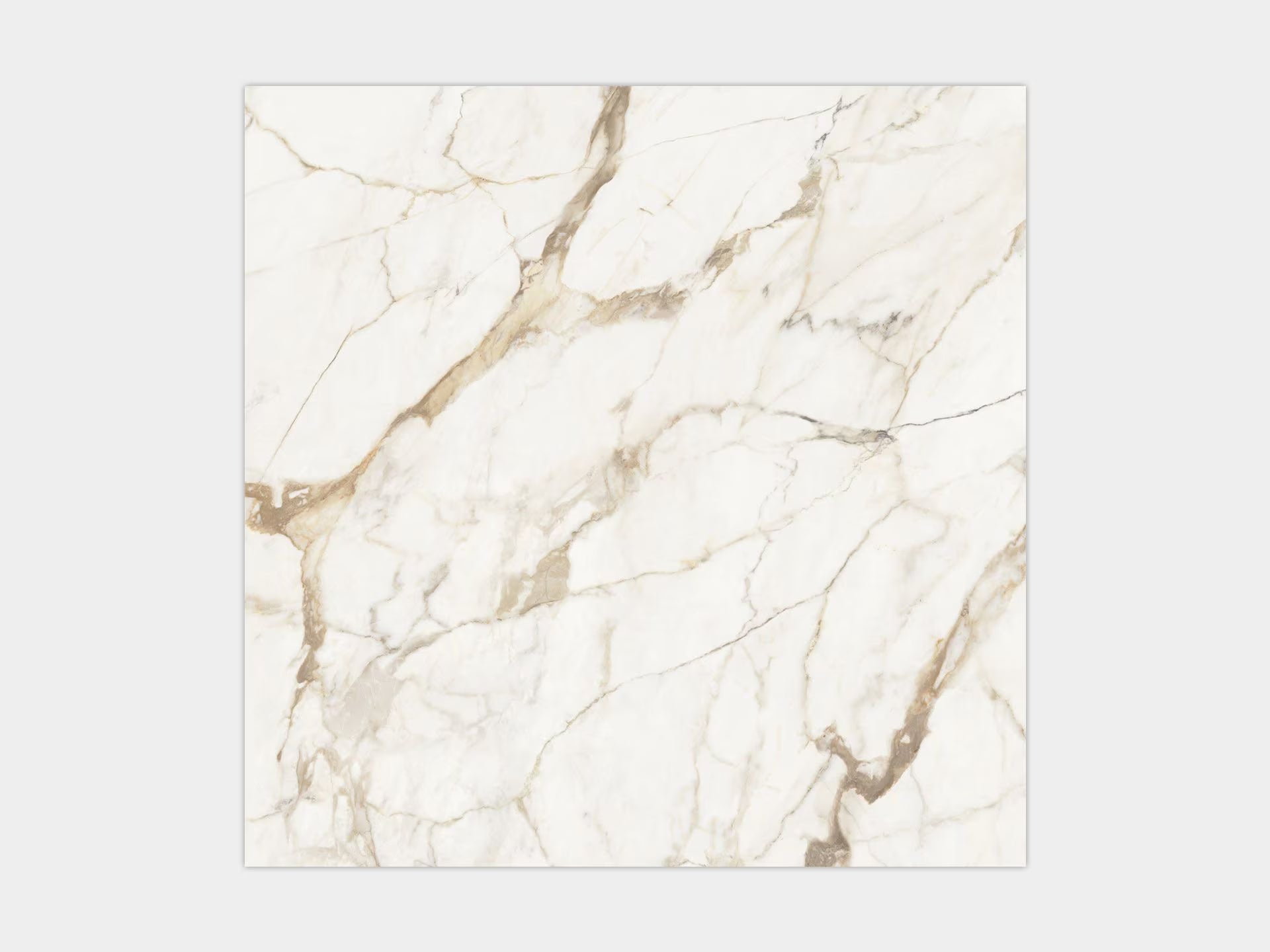 Calacatta Gold Silk 120X120 - Porcelanosa image 0
